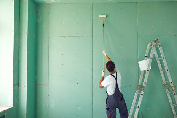 Asbestos and Lead Testing During Mold Inspection in Sudan, TX