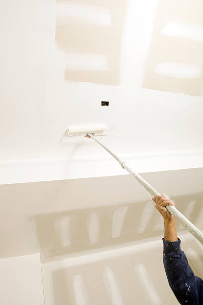 Best Air Quality Testing for Mold Spores  in Sudan, TX