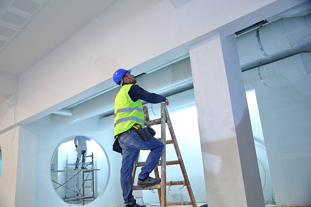 Best Mold Damage Restoration  in Sudan, TX